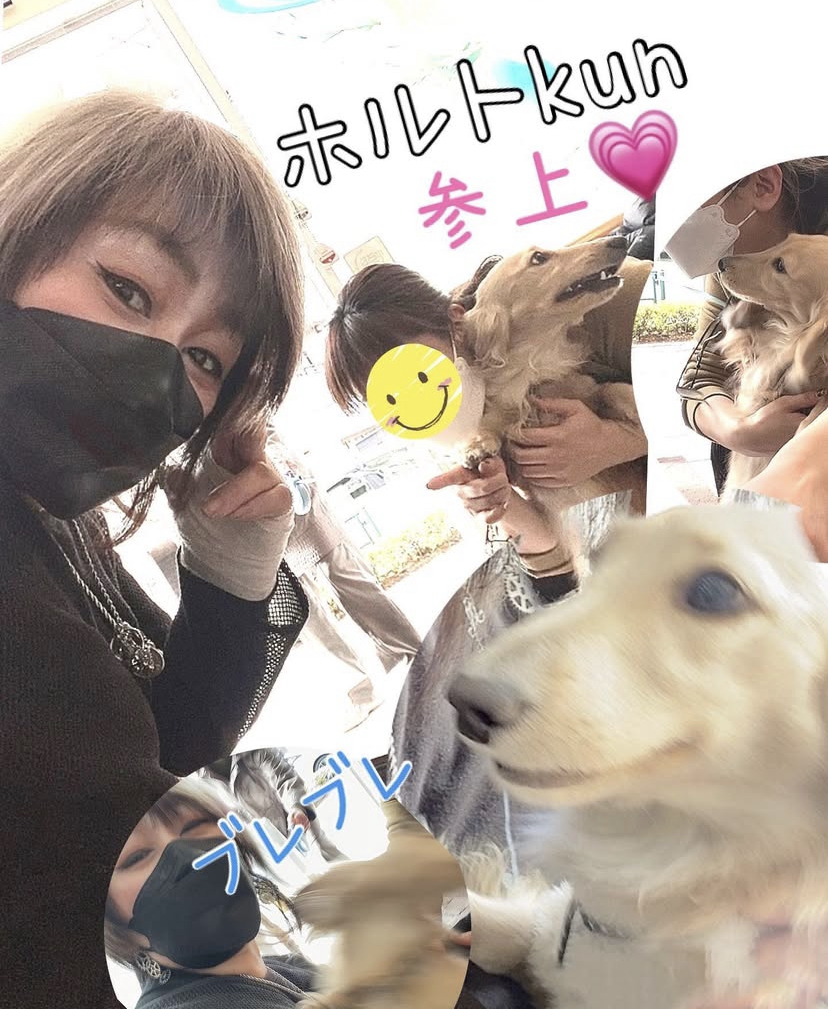 ホルト君がご来店となると<br>スタッフは声を上げてナデナデ<br>にGOします(笑)<br><br>(予約の合間しか触れ合えませんが。。。)<br><br>そんなクールでかわいいホルト君です<br>いつもお店に寄ってくれて<br>スタッフの癒しです♪ありがとうございます♪<br>